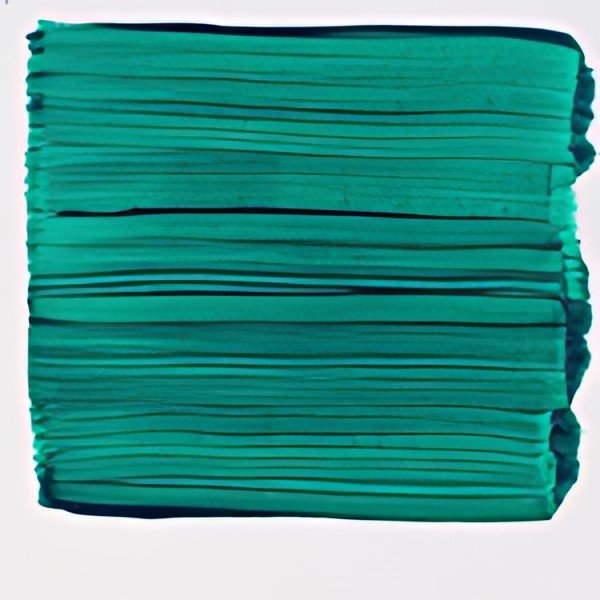 ROYAL TALENS Acrylique ArtCreation, vert oxyde de chrome