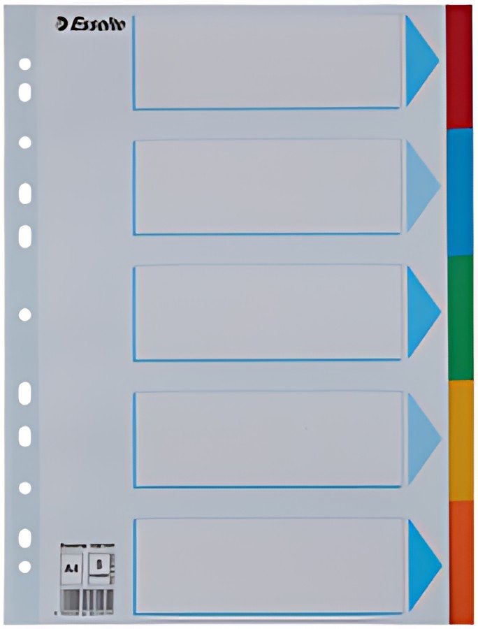 Esselte Intercalaires en carton, uni,A4,6 pièces,multicolore