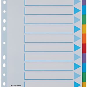 Esselte Intercalaires en carton, unis, A4, 10 touches