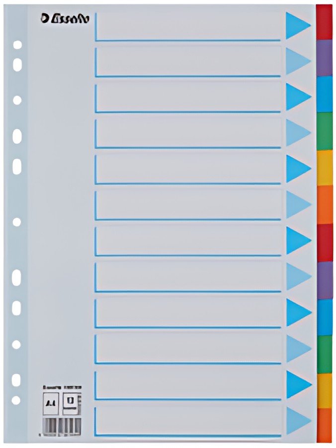 Esselte Intercalaires en carton, uni, A4, 12 touches