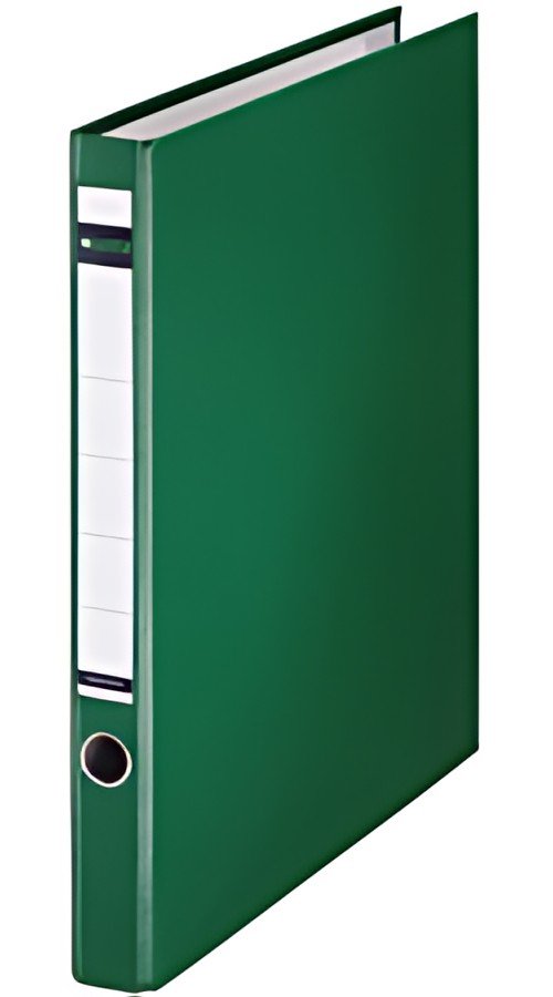 LEITZ classeur à anneaux, en plastique, format A4, vert,