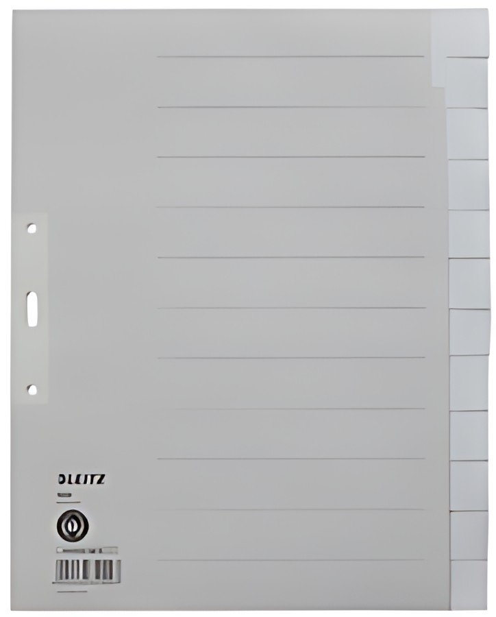 LEITZ Intercalaires en papier naturel, uni, A4 extra-large