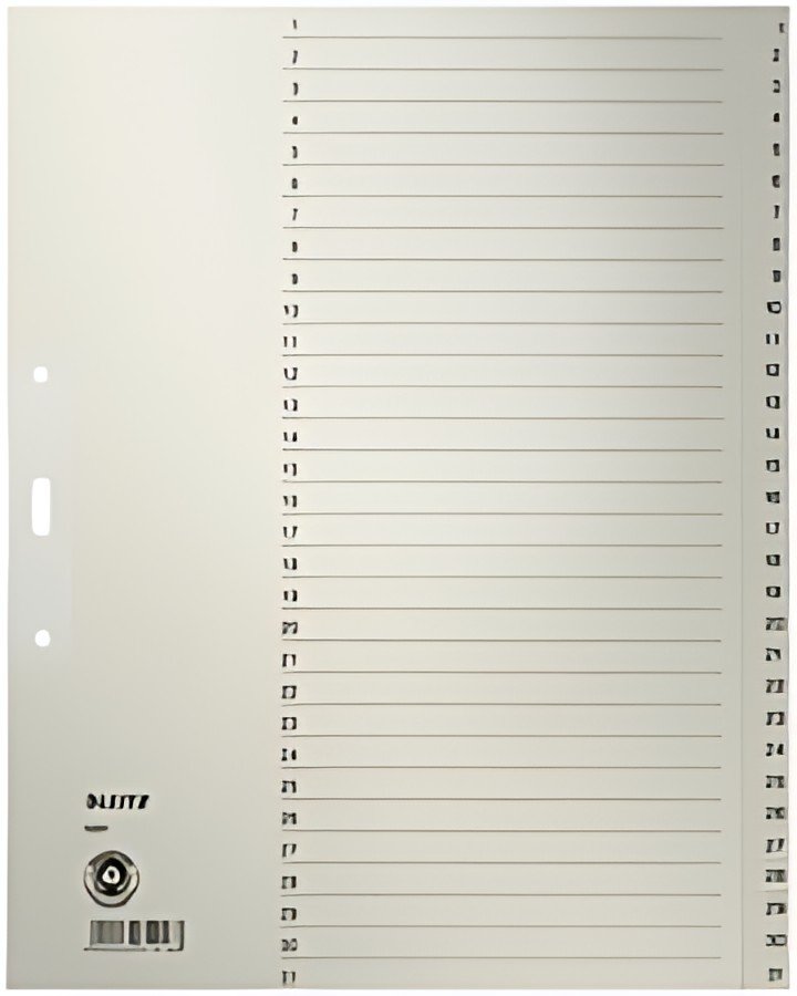 LEITZ Intercalaires en papier naturel, numéroté, format A4