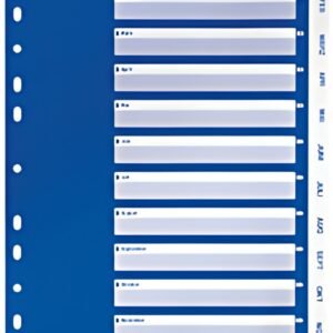 Registre en plastique LEITZ, mois, A4, janvier-décembre, PP, blanc