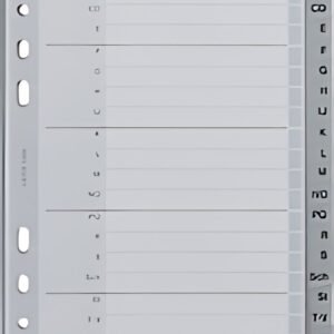 LEITZ Intercalaires en plastique, A-Z, A5, PP, 20 touches