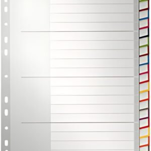 LEITZ intercalaire en plastique, blanc, A4 extra large,