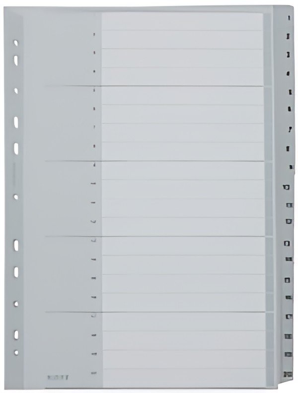 LEITZ Intercalaires en plastique, numéroté, format A4 extra