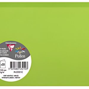 Pollen by Clairefontaine Carte double C6, vert menthe