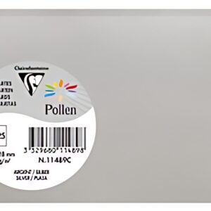 Pollen by Clairefontaine Carte 82 x 128 mm, argent