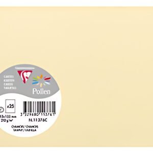 Pollen by Clairefontaine Carte C6, chamois