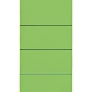 LEITZ Etiquette pour dos de classeur, 61 x 192 mm, vert