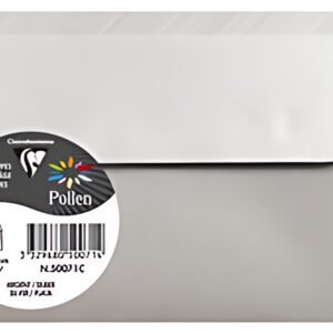 Pollen by Clairefontaine Enveloppes 90 x 140 mm, argent