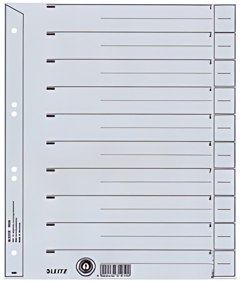 LEITZ Intercalaires, format A4 extra large, en carton solide