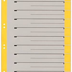 LEITZ Intercalaires, format A4 extra large, en carton solide