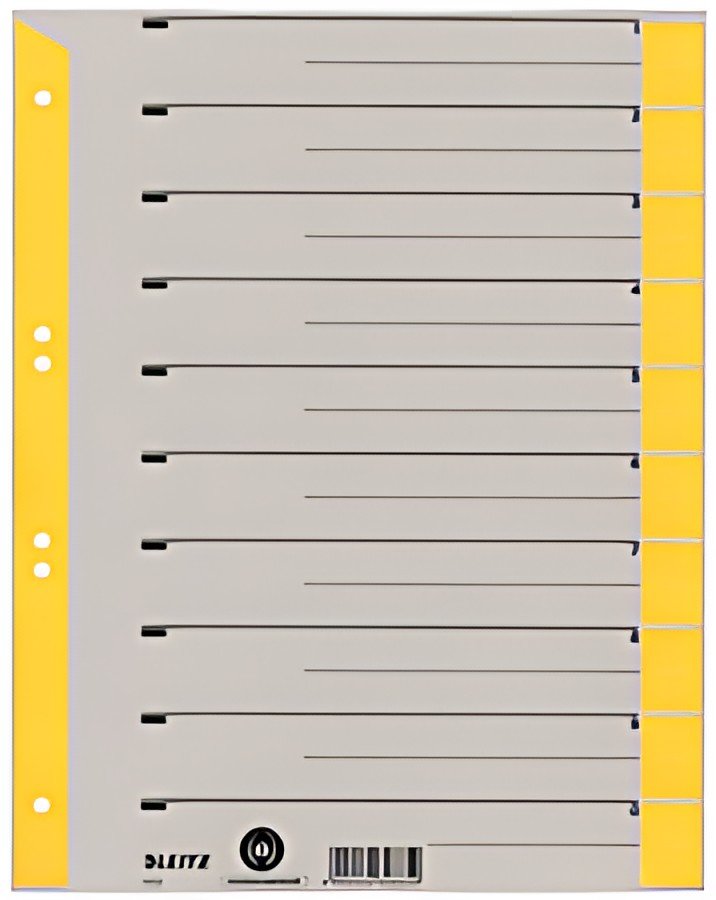 LEITZ Intercalaires, format A4 extra large, en carton solide