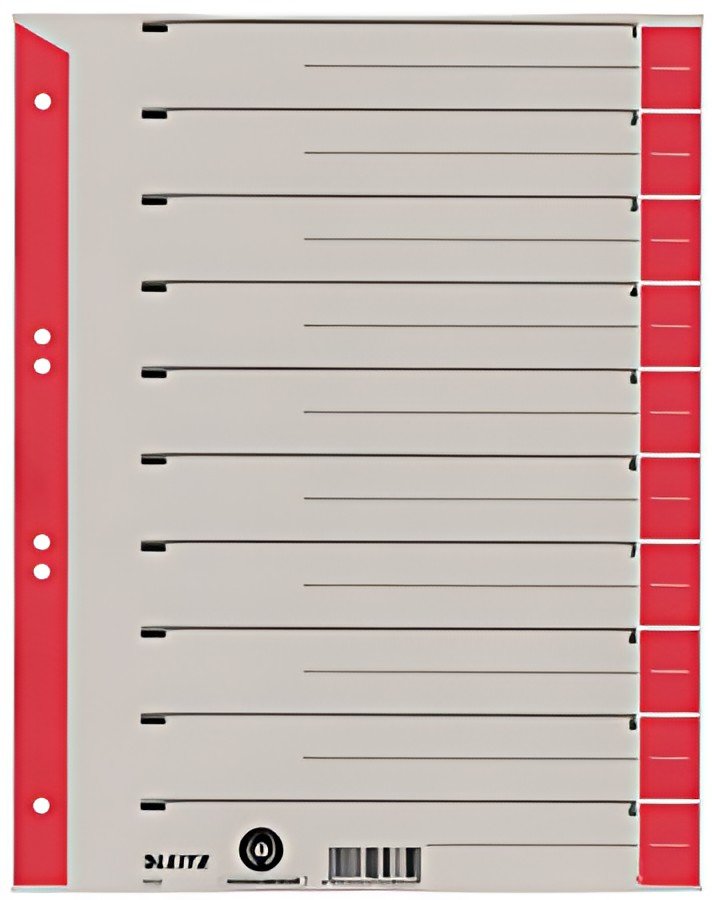LEITZ Intercalaires, format A4 extra large, en carton solide