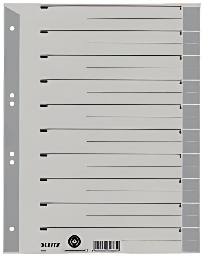 LEITZ Intercalaires, format A4 extra large, en carton solide