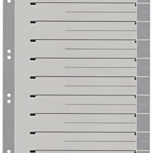 LEITZ Intercalaires, format A4 extra large, en carton solide
