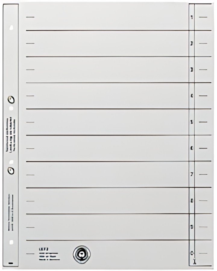 LEITZ Intercalaires, format A4 extra large, en carton solide