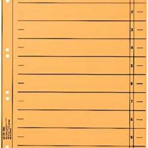 LEITZ Intercalaires, format A4 extra large,en carton manille