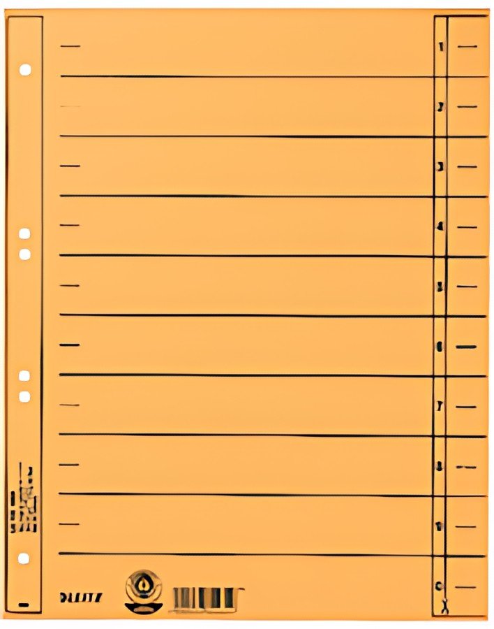 LEITZ Intercalaires, format A4 extra large,en carton manille
