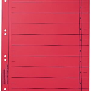 LEITZ Intercalaires, format A4 extra large,en carton manille