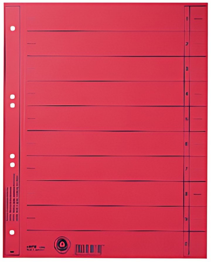 LEITZ Intercalaires, format A4 extra large,en carton manille