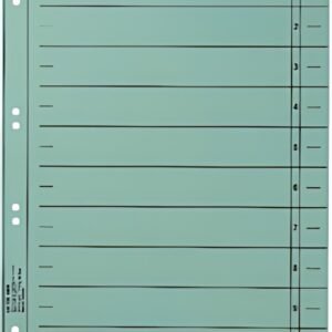 LEITZ Intercalaires, format A4 extra large,en carton manille