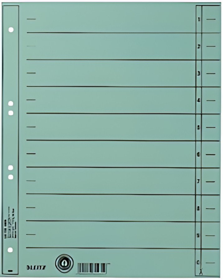 LEITZ Intercalaires, format A4 extra large,en carton manille