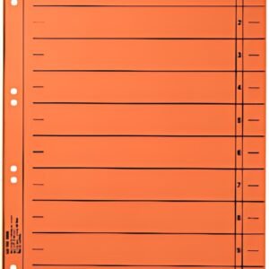 LEITZ Intercalaires, format A4 extra large,en carton manille
