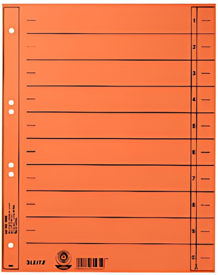 LEITZ Intercalaires, format A4 extra large,en carton manille