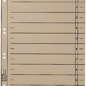 LEITZ Intercalaires, format A4 extra large,en carton manille