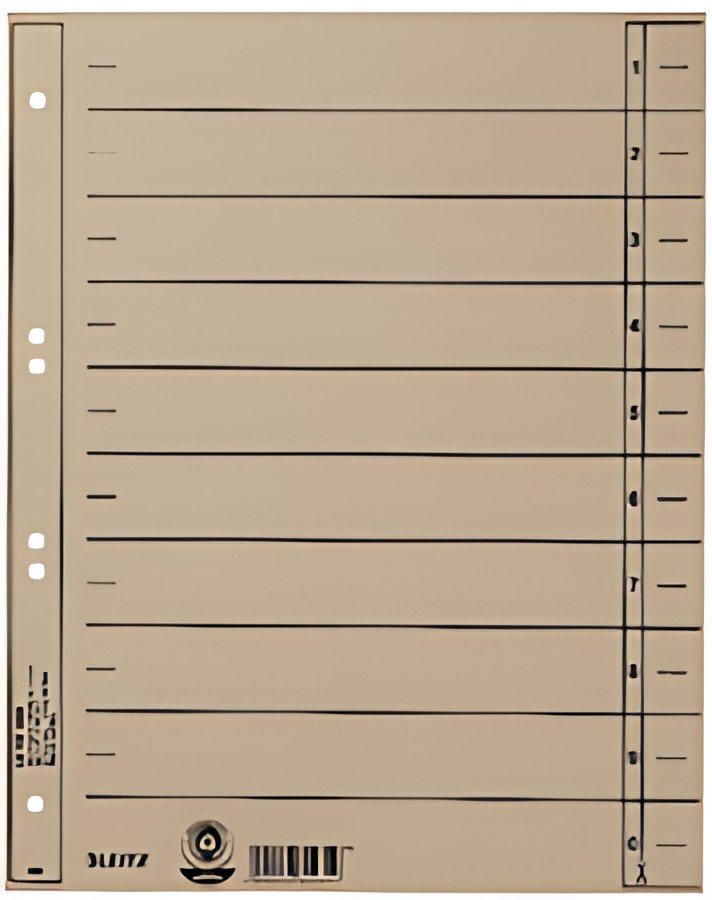LEITZ Intercalaires, format A4 extra large,en carton manille