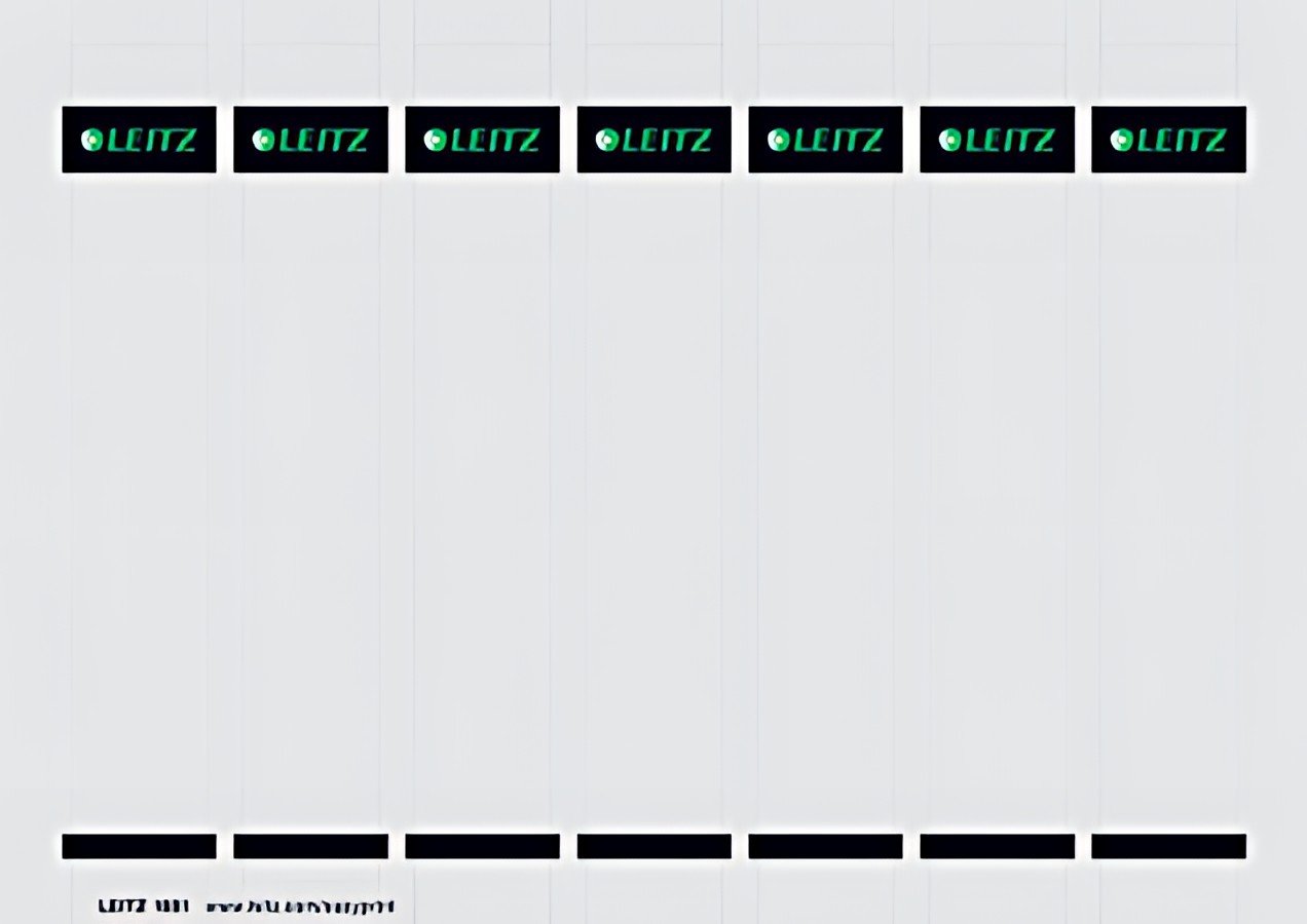 LEITZ Etiquette bristol pour dos de classeur, 31 x 190 mm