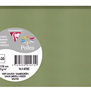 Pollen by Clairefontaine Carte 82 x 128 mm, vert sauge