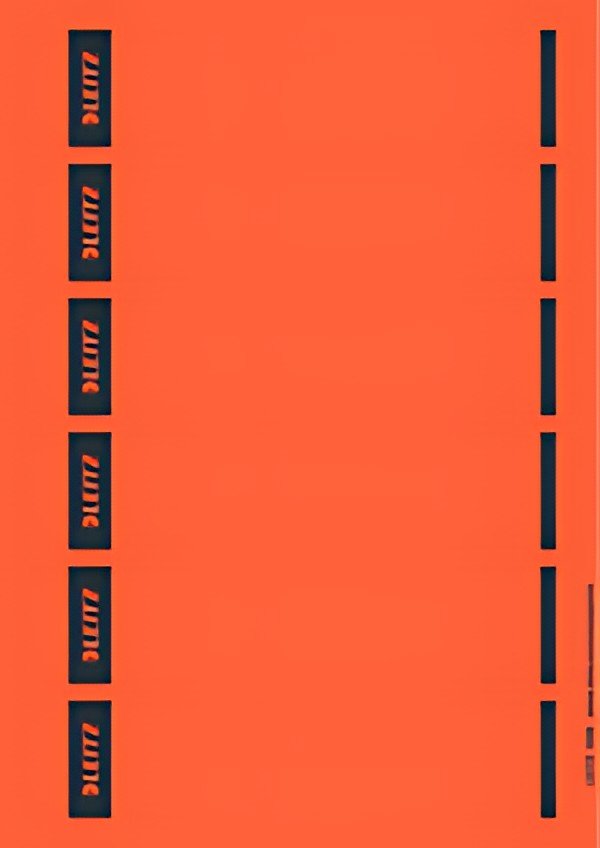 LEITZ Etiquette pour dos de classeur, 39 x 192 mm, rouge
