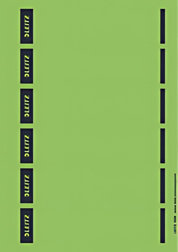 LEITZ Etiquette pour dos de classeur, 39 x 192 mm, vert