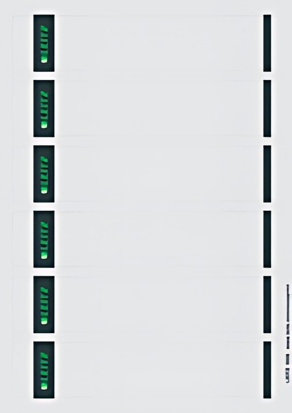 LEITZ Etiquette pour dos de classeur, 39 x 192 mm, gris
