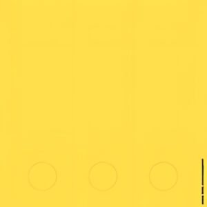 LEITZ Etiquette pour dos de classeur, 61 x 285 mm, jaune