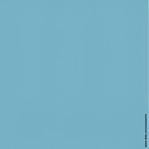 LEITZ Etiquette pour dos de classeur, 61 x 285 mm, bleu