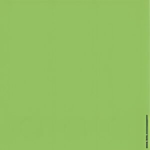 LEITZ Etiquette pour dos de classeur, 61 x 285 mm, vert