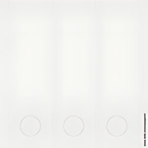LEITZ Etiquette pour dos de classeur, 61 x 285 mm, gris