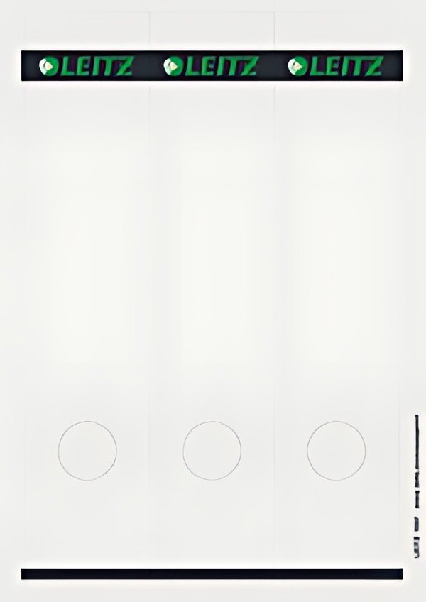 LEITZ Etiquette pour dos de classeur, 61 x 285 mm, gris