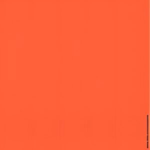 LEITZ Etiquette pour dos de classeur, 39 x 285 mm, rouge