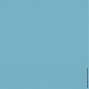 LEITZ Etiquette pour dos de classeur, 39 x 285 mm, bleu