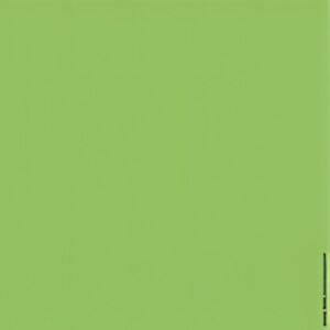 LEITZ Etiquette pour dos de classeur, 39 x 285 mm, vert