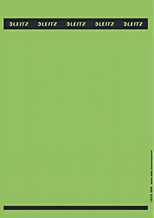 LEITZ Etiquette pour dos de classeur, 39 x 285 mm, vert