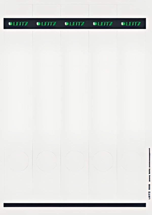 LEITZ Etiquette pour dos de classeur, 39 x 285 mm, gris