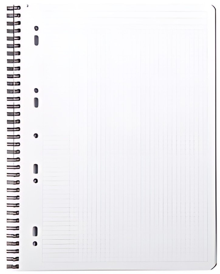 RHODIA Cahier à spirale "Note Book", A4+, quadrillé 5x5,noir