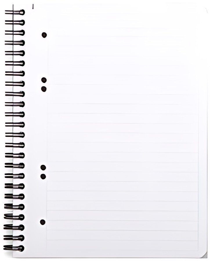 RHODIA Cahier à spirale "Note Book", A5, ligné, noir